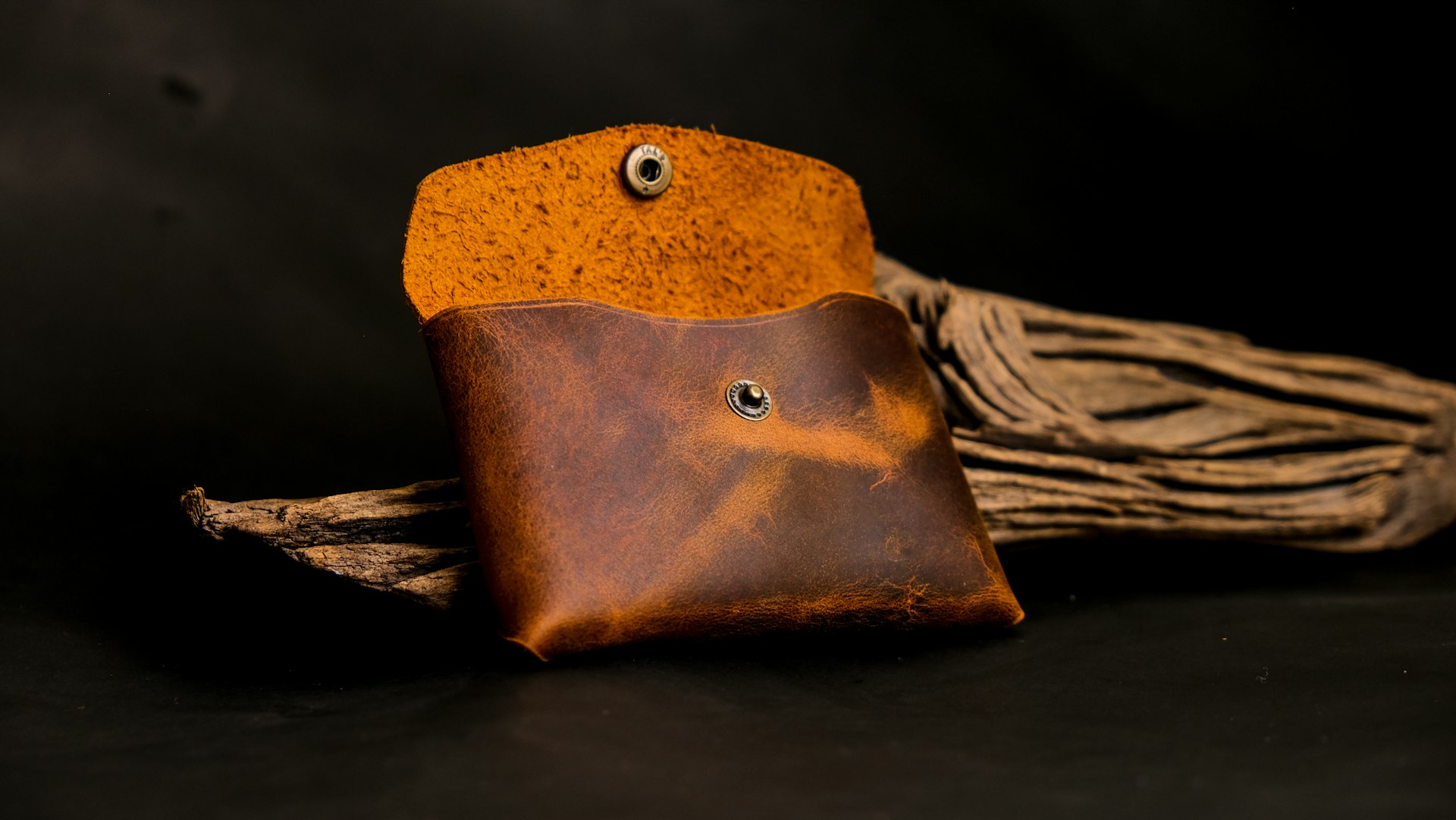 a close-up of a fish